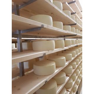 Inox maturation shelves for hard cheese